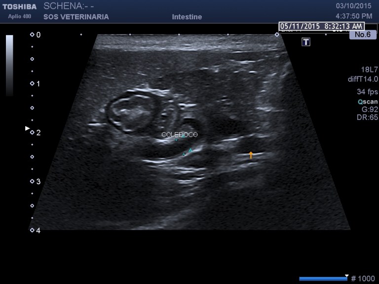 dopo 4 settimane di terapia2