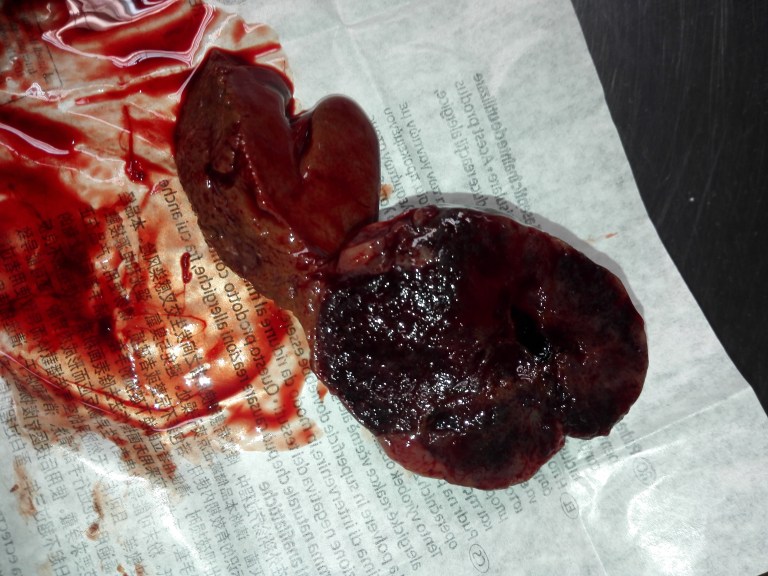 IMG_20160404_131722_BURST001_COVER (1)